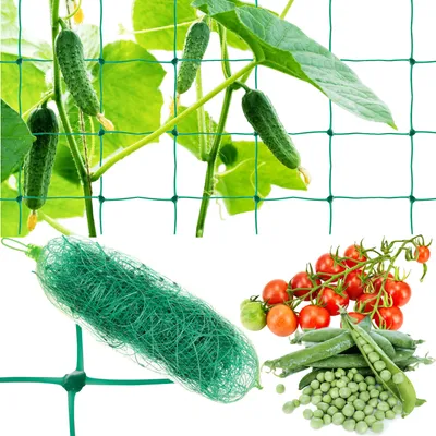 Obrázok produktu pre Gardlov Podporná sieť pre rastliny 2x10m 23978