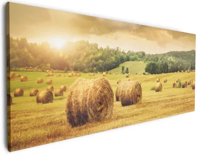 Produktbild von Wallario Premium Leinwandbild Strohballen auf dem Feld bei Sonnenuntergang in Größe 60 x 150 cm