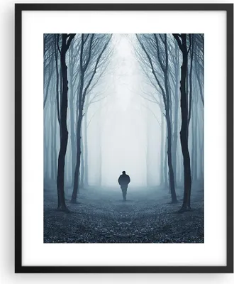 Produktbild von Gerahmtes Poster - Schwarzer Rahmen - Charakter Wald Einsamkeit - 40x50 cm - Wand Bild - Wanddeko - Wandbilder - Wandposter - Bilderrahmen - Bilder - Kunstdruck - Wandbild - P2BPA40x50-4142
