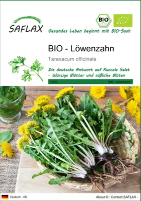 Produktbild von SAFLAX - BIO - Löwenzahn - 400 Samen - Taraxacum officinale