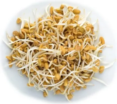 Obrázek produktu pro PÍSKAVICE - SEMÍNKA NA KLÍČENÍ 20 g