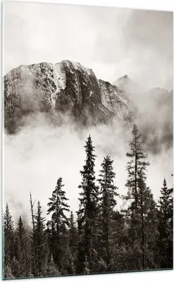 Produktbild von Bilder auf glas - Einteilig - Nebel Berg Wald - 70x100cm - Glasbilder - Wandbilder - Bilder - zum Aufhängen bereit - Wanddekoration aus Glas - Glas Bilder - Wandbild auf Glas - GPA70x100-4936