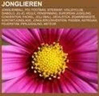 Produktbild von Jonglieren