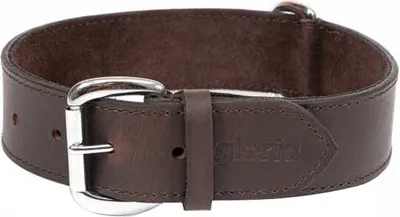 Produktbild von Gloria Dog Hundehalsband Braun 60x4 cm Braun 60x4 cm