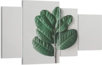 Produktbild von Bild auf Leinwand - Leinwandbild - 4 Teile - Blätter Pflanzen Botanik - 120x70cm - Wand Bild - Wanddeko - Wandbilder - Leinwanddruck - Bilder - Wanddekoration - Leinwand bilder - DL120x70-4956