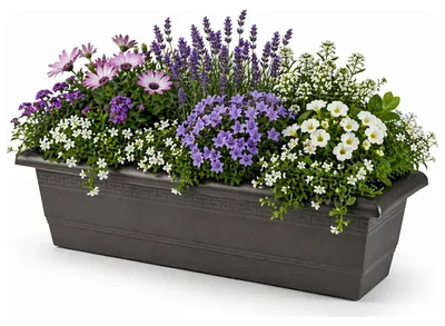 Produktbild von Plasticforte Pflanzgefas - anthrazit - rechteckig - 60 x 20 x 16 cm - Blumenkasten