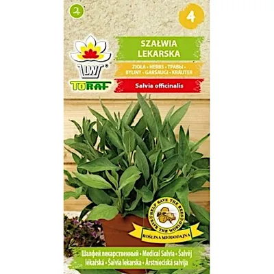 Zdjęcie produktu dla Nasiona ziół Szałwia Lekarska zioła do ogrodu - Toraf 313