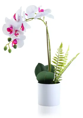 Immagine prodotto di Elzusha - Orchidea artificiale in vaso - Decorazione realistica per casa e ufficio