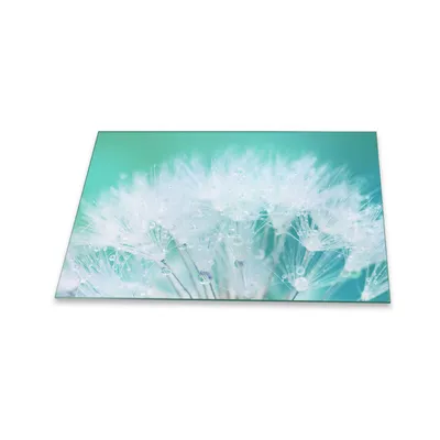 Produktbild von Herdabdeckplatte Glaskeramik 80x52 Pusteblume Weiß Abdeckung Glas Spritzschutz Deko