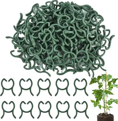 Produktbild von Famanu Pflanzenclips 100 Stück - grün, wiederverwendbare Blumenklammern