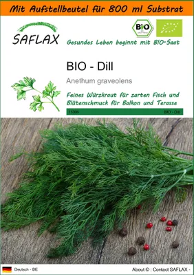 Produktbild von SAFLAX - Garden in the Bag - BIO - Dill - 700 Samen - Mit Anzuchtsubstrat im praktischen, selbst aufstellenden Beutel - Anethum graveolens