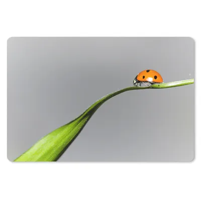 Produktbild von MuchoWow® Mauspad Mousepad Frühling Marienkäfer auf Gras 27x18 cm - Mousepads - Maus Mat - Pad - Mausunterlage - Büroartikel - Desk Matten