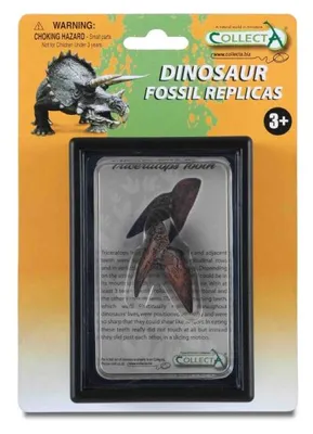 Produktbild von COLLECTA Triceratops Zahn im 89283 Collecta -Paket