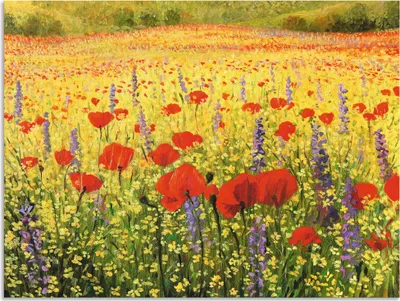 Produktbild von ARTland Wandbild Alu für Innen & Outdoor Mohnblumenfeld Größe: 120x90 cm