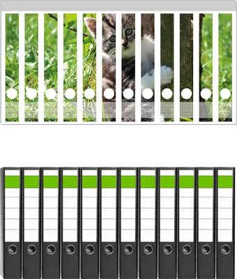 Produktbild von Wallario 12 Stück schmale Ordner inkl. Klebeetiketten mit Motive Süßes Kätzchen an einem Baum -  Set mit Rückenschildern / Ordnerrücken Stickern