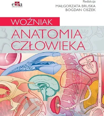 Produktbild von Anatomia człowieka. Woźniak