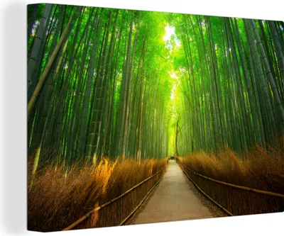 Produktbild von OneMillionCanvasses® - Leinwandbilder - 140x90 cm, Weg durch den Wald, Wandbilder Kunstdruck Wanddekoration - Foto auf Leinwand - Gemälde auf Holzrahmen