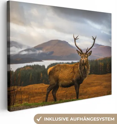 Produktbild von MuchoWow® - Leinwandbilder - Hirsche - Berge - Wasser - Landschaft - Tiere - Bäume, Wandbild, Wanddeko Bilder Wohnzimmer, 120x90 cm