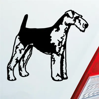 Produktbild von Auto Aufkleber Airedale Terrier Dog Tier Hund 12x10 cm Schwarz Glanz Sticker Heckscheibenaufkleber