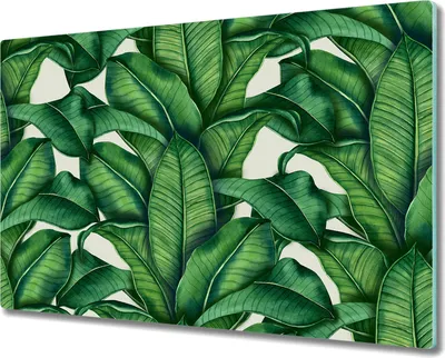 Produktbild von Glas-Herdabdeckplatte Glaskeramikfeldabdeckung Spritzschutz - 80x52 cm - Blatt Exotisch Grün