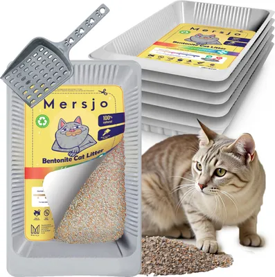 Immagine prodotto di 5x lettiera monouso per gatti PH CONTROL, con lettiera in bentonite 5x2,7l + paletta