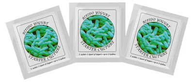 Joghurt-Startkulturen, 3 Beutel, gefriergetrocknet, für Bifido-Joghurt