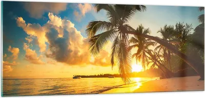 Produktbild von Bilder auf glas - Meer Strand Palme - 100x40cm - Glasbilder - Wandbilder - Kunstdruck - zum Aufhängen bereit - Wanddekoration aus Glas - Glas Bilder - Wandbild auf Glas - Einteilig - GAB100x40-3922