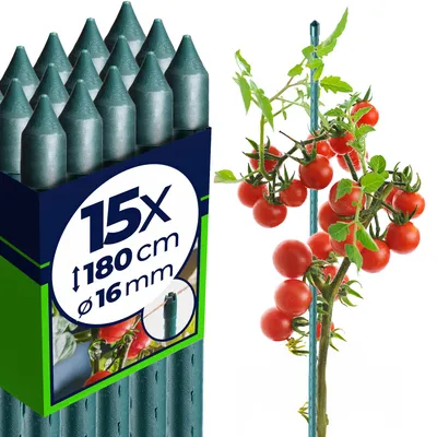 Produktbild von KADAX Blumenstütze aus Stahl "Trang", Pflanzen-Rankstab, Rankhilfe mit Häkchen, Grün, 180 cm, 15 Stück