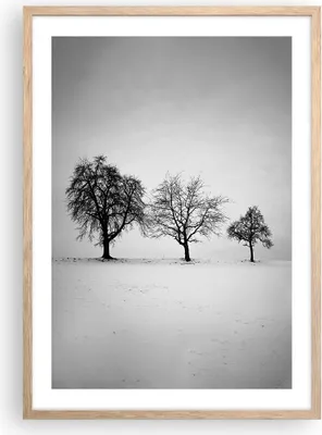 Produktbild von Gerahmtes Poster - Rahmen in heller Eiche - Winter Bäume Schnee - 50x70 cm - Wand Bild - Wanddeko - Wandbilder - Kunstposter - Wandposter - Bilderrahmen - Bilder - Kunstdruck - P2NPA50x70-4958