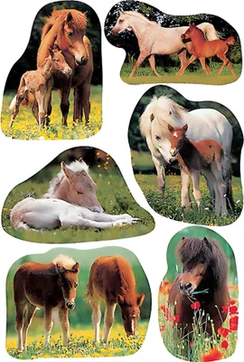 Produktbild von HERMA 5443 10x Sticker DECOR Pferdefotos