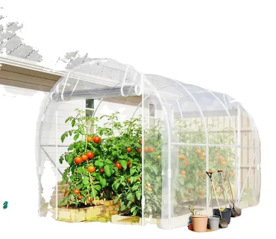 Image de Serre de jardin, acier galvanisé, conception étanche, transparente