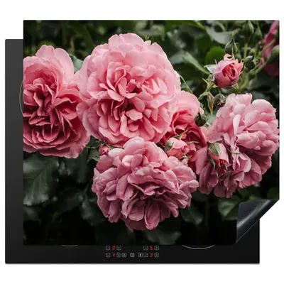Produktbild von KitchenYeah© Herdabdeckplatte Rosa - Blumen - Rosen , 59x51cm, Küche Deko, Glaskeramikkochfeld Herdabdeckung, Abdeckplatte fùr Kochfeld