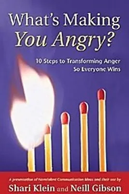 Obrázok produktu pre What's Making You Angry?