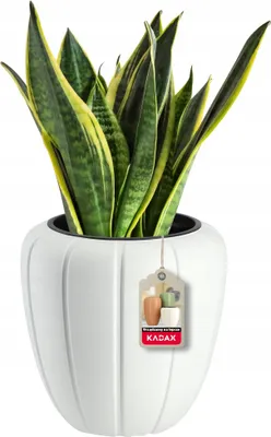 Obrázok produktu pre Kvetináč - Kvetináč - S vložkou - 3D štruktúra - 40 cm - Biela