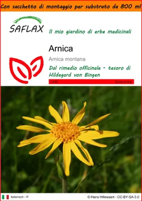 Immagine prodotto di SAFLAX Garden in the bag - Arnica - 40 semi - Arnica