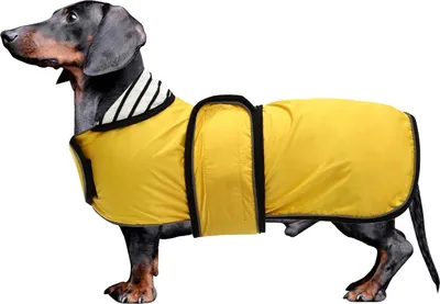 Produktbild von Regenmantel für Hunde mit reflektierenden Streifen, wasserdicht, verstellbar – geeignet für kleine und mittelgroße Hunde wie Dackel (gelb)
