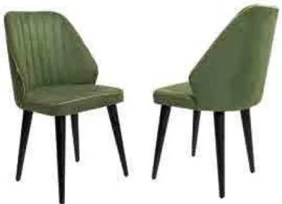 Produktbild von Grüner Stuhl auf schwarzen Holzbeinen für das Esszimmer neu komfortables Modell