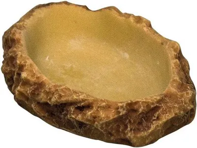 Produktbild von Famanu Trinkschale Rotslook - 11x8x2 cm