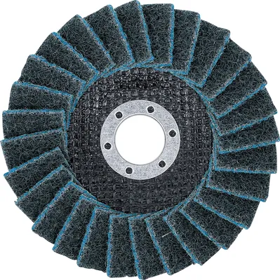 Image de BGS Disque abrasif en éventail Ø 125 mm Granulométrie 240 - 74476