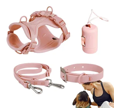 Image de Laisses et harnais pour petits chiens