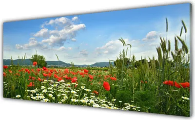 Produktbild von Küchenrückwand aus Glas 125x50cm Spritzschutz Wiese Blumen Natur