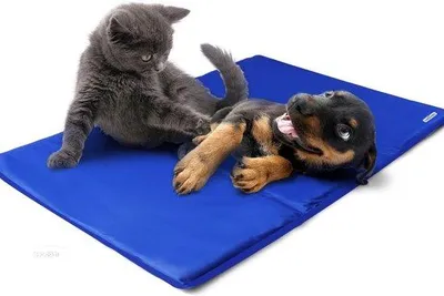 Produktbild von Famanu Kühlmatte für Hunde - Selbstkühlende, ungiftige Gelpads für Welpen - Katzenbett - Kühlmatratze für den Sommer, blau