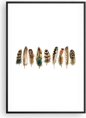 Produktbild von Gerahmtes Poster - Schwarzer Rahmen - Weiß Hintergrund Federn - 70x100 cm - Wand Bild - Wanddeko - Wandbilder - Kunstposter - Wandposter - Bilderrahmen - Bilder - Kunstdruck - P2BPA70x100-4419