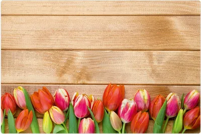 Produktbild von Abwaschbare Tischsets 4er Set bunte Tulpen Holz-Optik