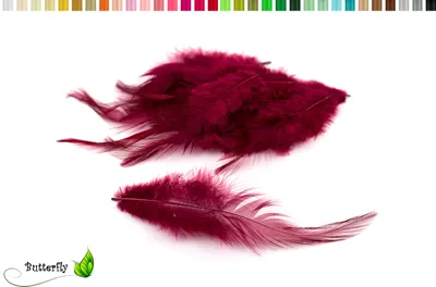 Produktbild von 3g Hahnenkreuz Federn ca. 8-13cm, Farbauswahl:weinrot / bordeaux 270