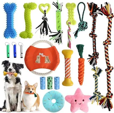 Produktbild von Hundefrühjahrsset, 20 Stücke, auf verwoestbares Kauzeug für Hunde, mit 3 Rohren, Baumwollpuppyspielzeugset, Seilball, Hundefrühjahrsset für kleine, mittelgroße, große Hunde