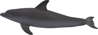 Produktbild von Mojo 387118 Animal Planet Tümmler Delfin ca. 13 x 5 x 4,5 cm