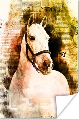 Produktbild von MuchoWow® Poster Pferd - Weiß - Zeitung - Mädchen - Kinder - Mädchen 60x90 cm - Wanddekoration