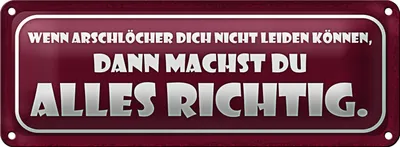Produktbild von Blechschild Spruch 27x10cm wenn Arschlöcher dich nicht Dekoration