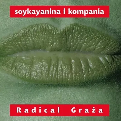 Produktbild von ++ STANISLAW SOYKA – Radical Graza (LP)